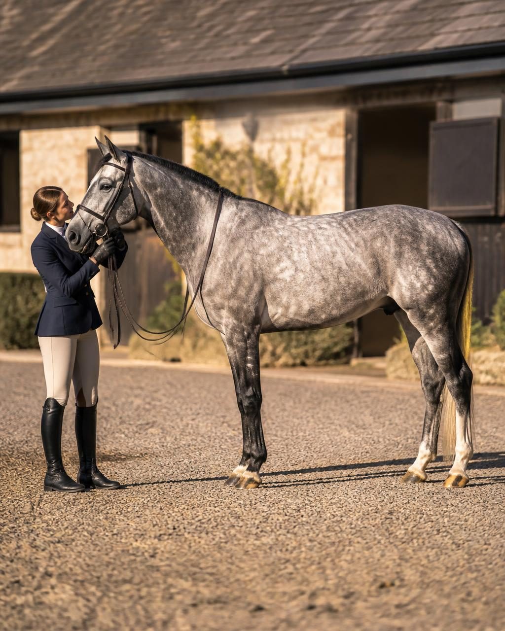 Rider in a navy jacket and tall boots holding a grey horse